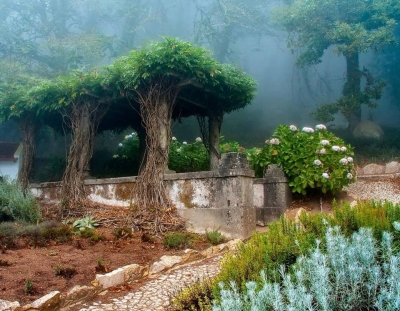 Old garden in Sintra, Portugal