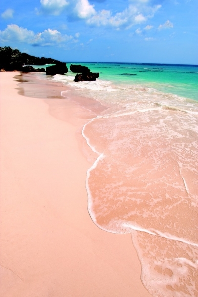 Pink beach, Bermuda