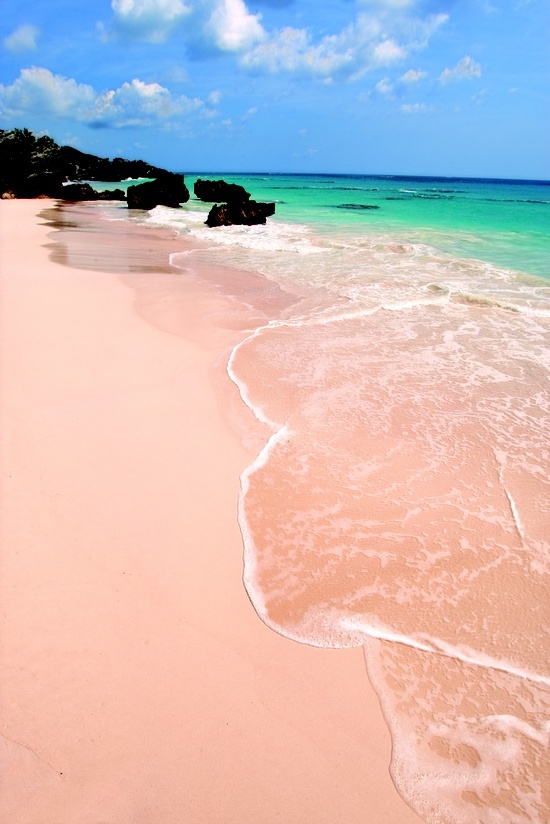 Pink beach, Bermuda