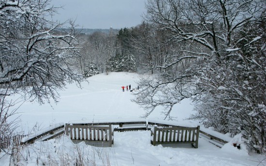 Winter in Ann Arbor, Michigan photo on Sunsurfer