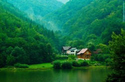 Green valley, Transylvania, Romania photo on Sunsurfer