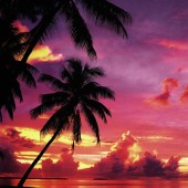 Tahitian beach sunset photo on Sunsurfer