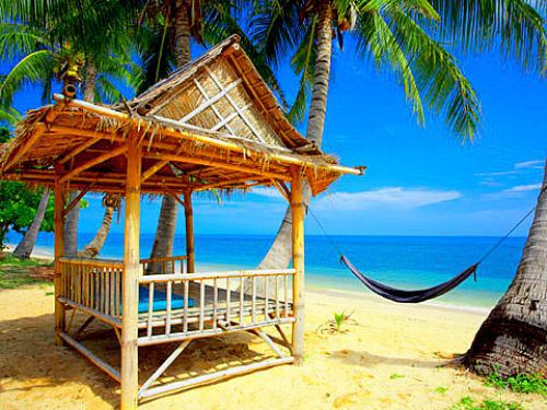 Beach hammock photo on Sunsurfer